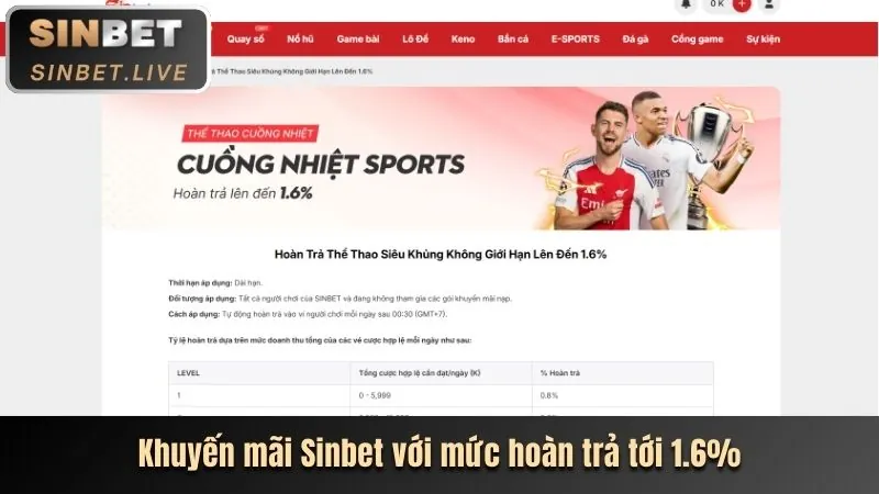 Cá cược các môn thể thao khác như quần vợt, đua ngựa